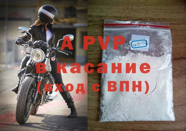 стаф Балахна