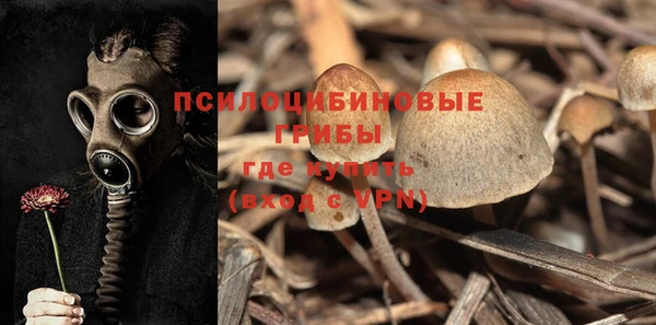 мяу мяу кристалл Арсеньев