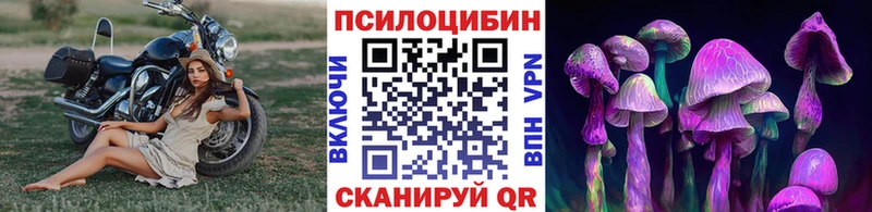 Псилоцибиновые грибы GOLDEN TEACHER  Волгодонск 